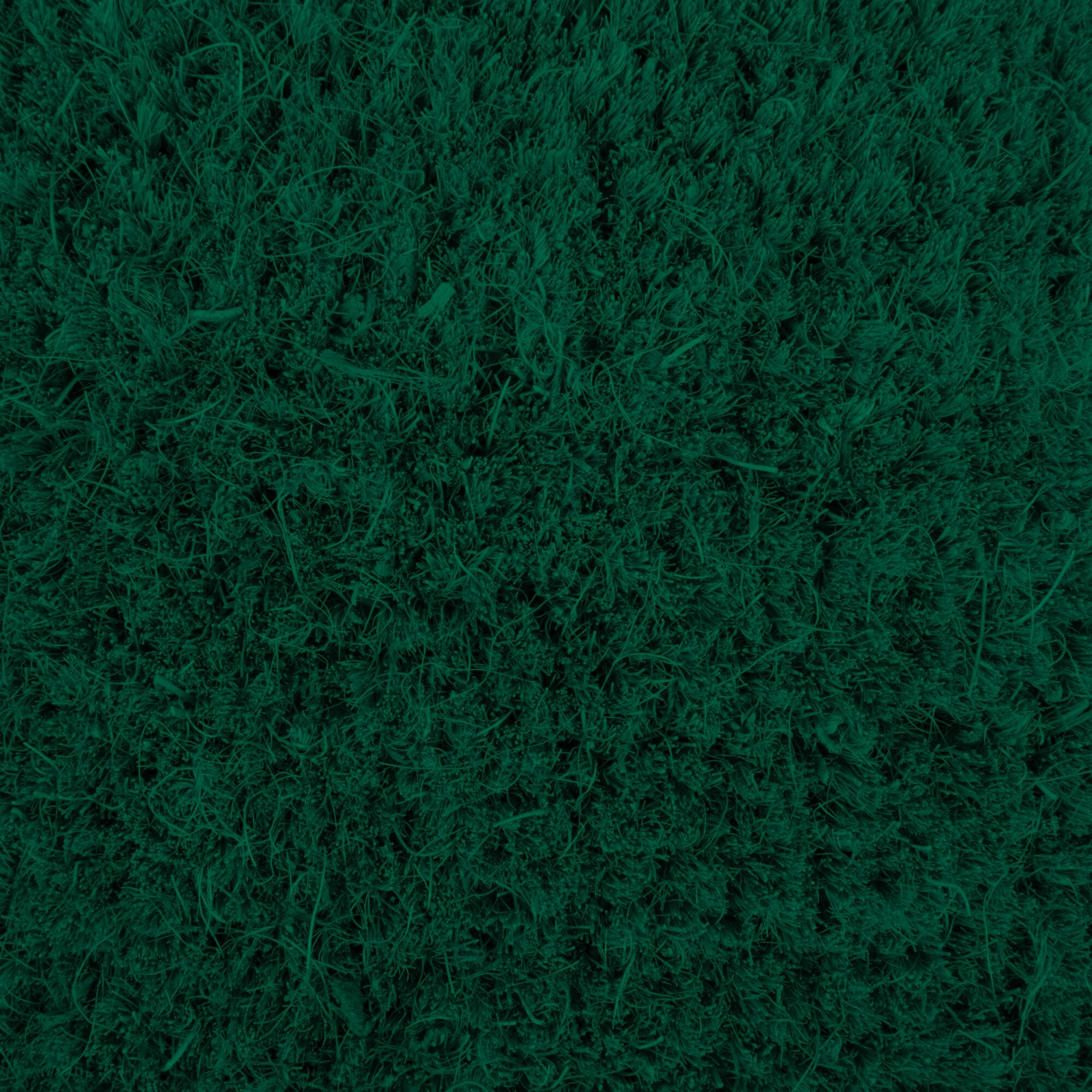 DII® Poinsettias Doormat